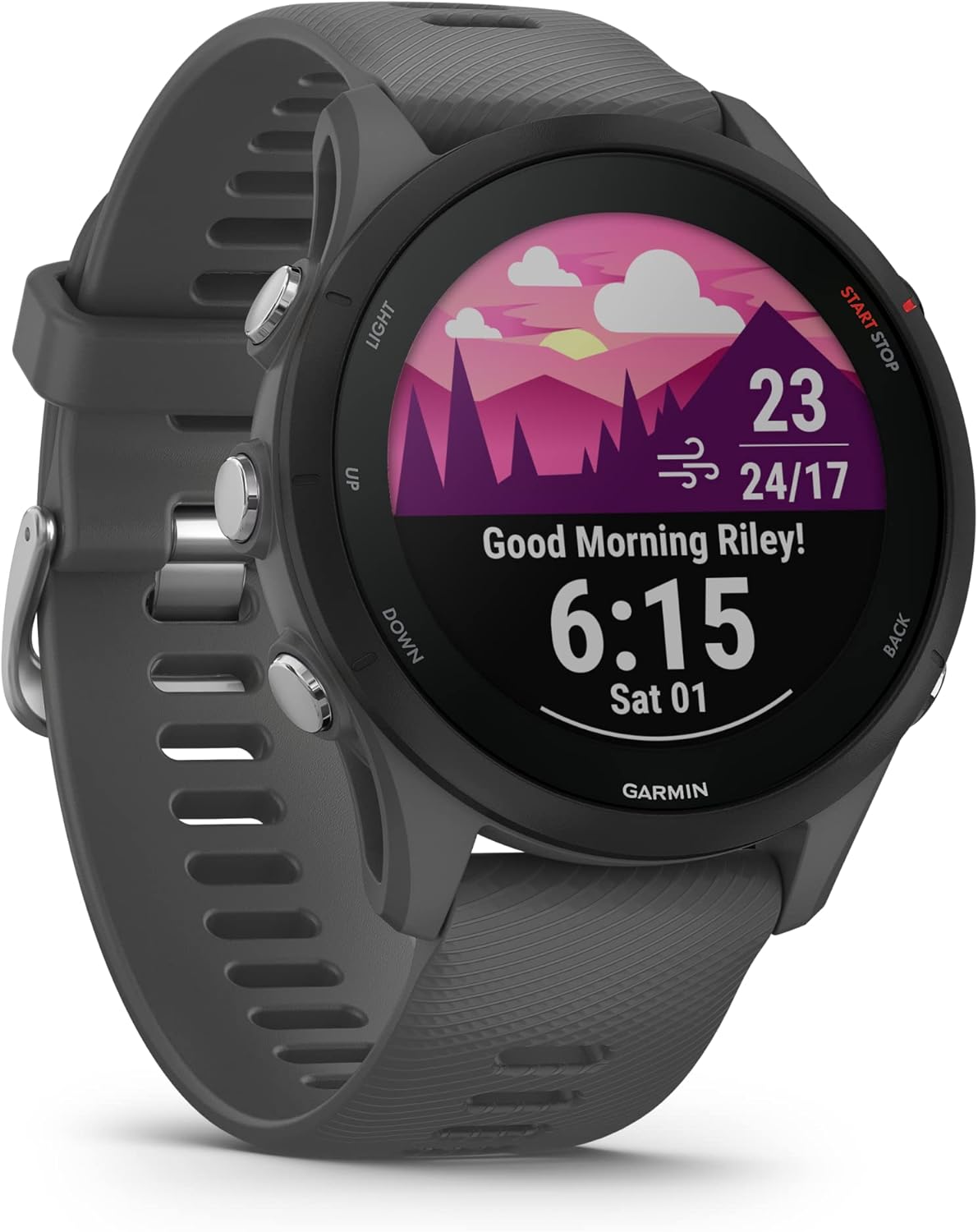 Garmin Forerunner 255 (Garmin)
